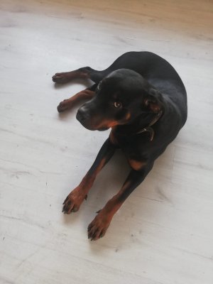 Oğlumuza Yuva Arıyoruz - ETİMESGUT / ANKARA