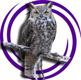 Baykuş (Strigiformes)