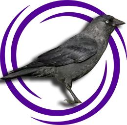 Karga (Corvus)