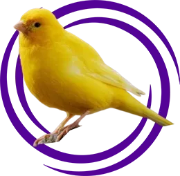 Malinua Kanarya (Malinois Waterslager)