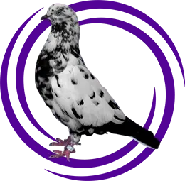 Parlor Roller Güvercini