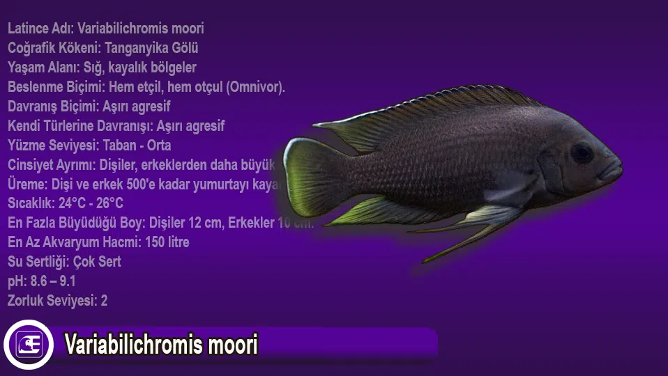 Variabilichromis moori